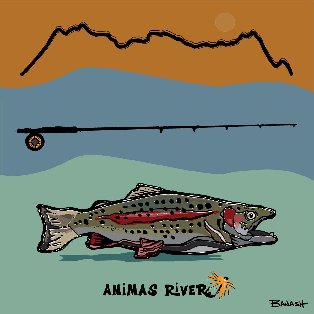 ANIMAS RIVER SAN JUANS FLY ROD TROUT | LOOSE PRINT | ILLUSTRATION | 1:1 RATIO