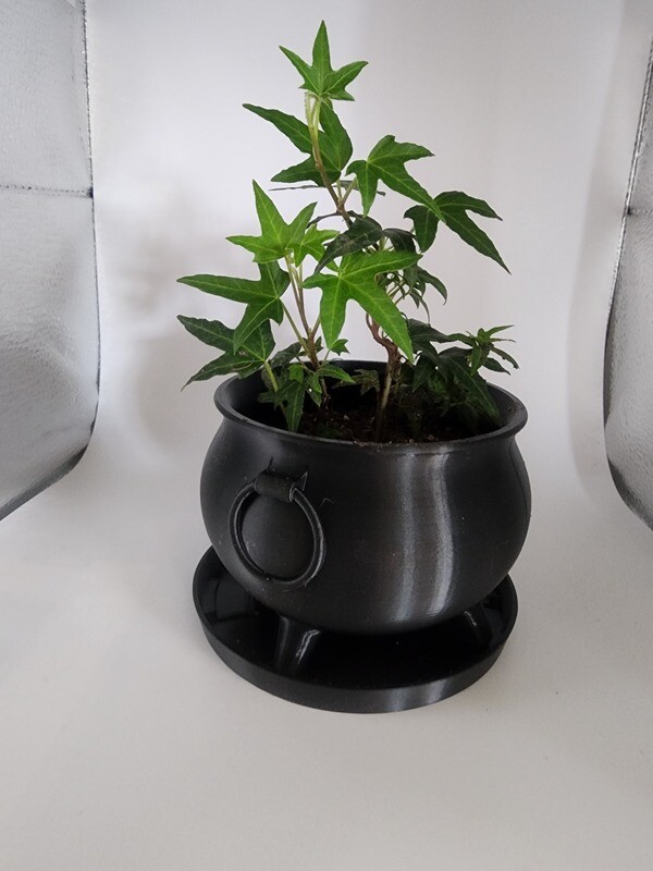 Cauldron Planter