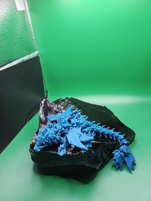 Baby Ocean Dragon &amp; Ocean Serpent