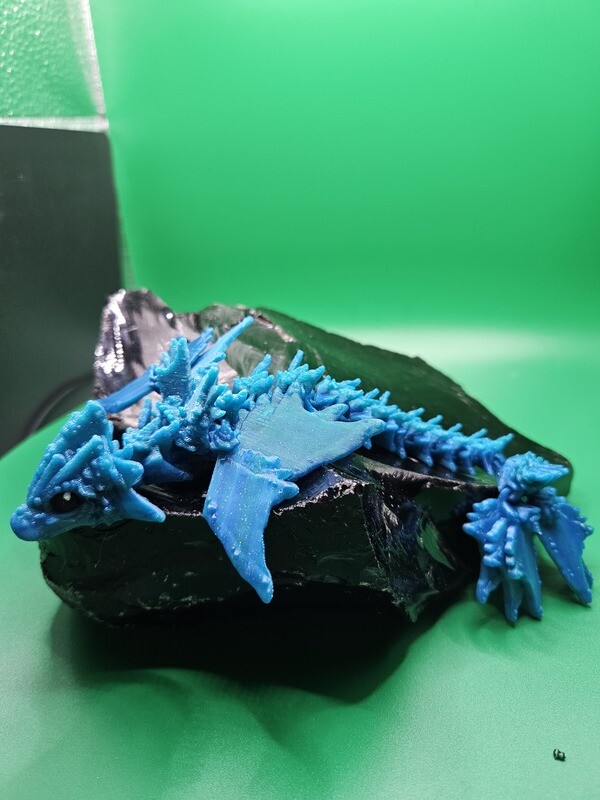 Baby Ocean Dragon &amp; Ocean Serpent