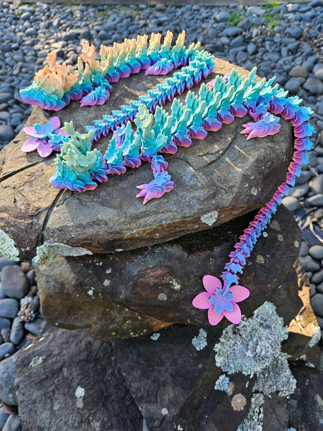 Cherry Blossom 🌸 Dragon