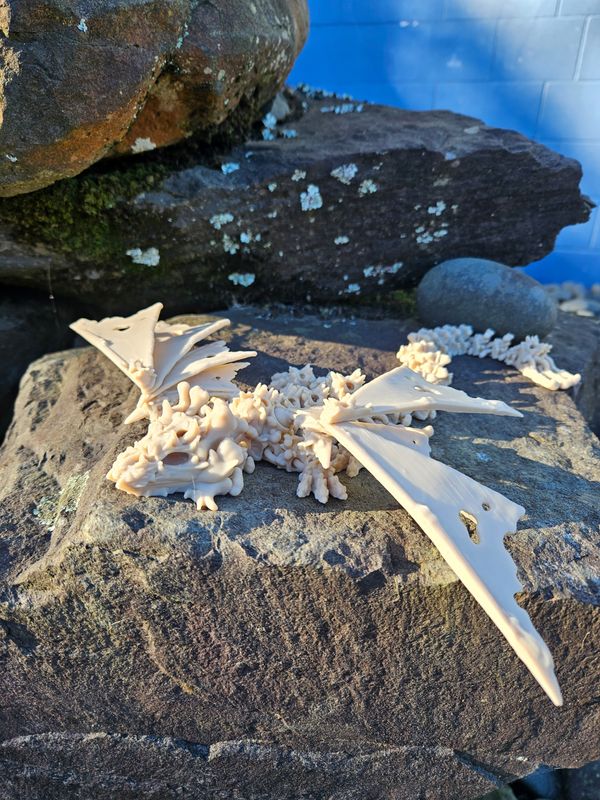 Winged Hollow Dragon