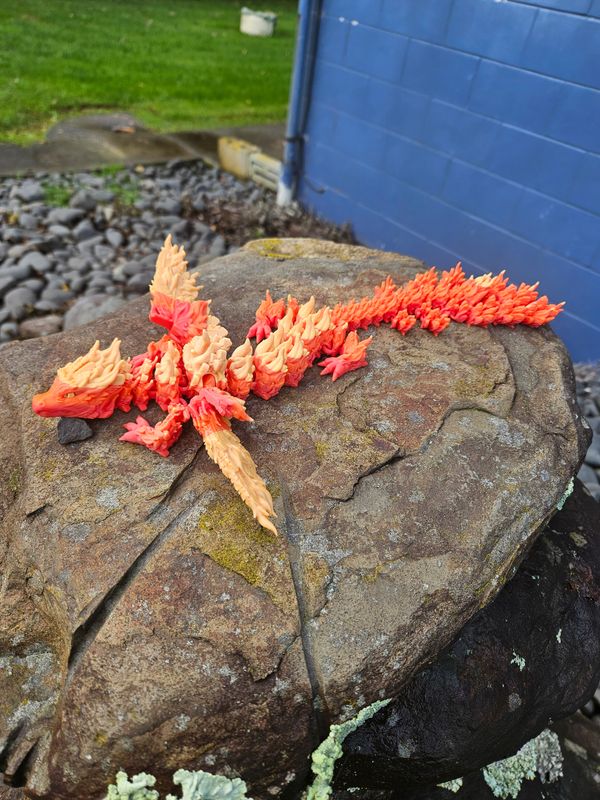 Adult Phoenix Dragon