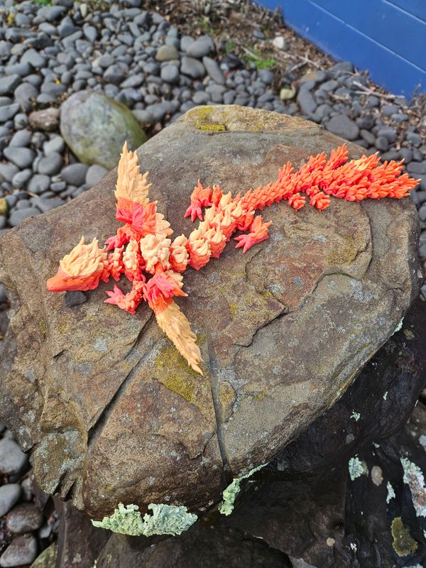 Adult Phoenix Dragon