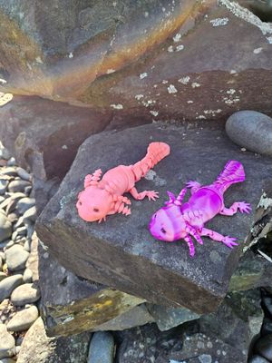 Happy Axolotl
