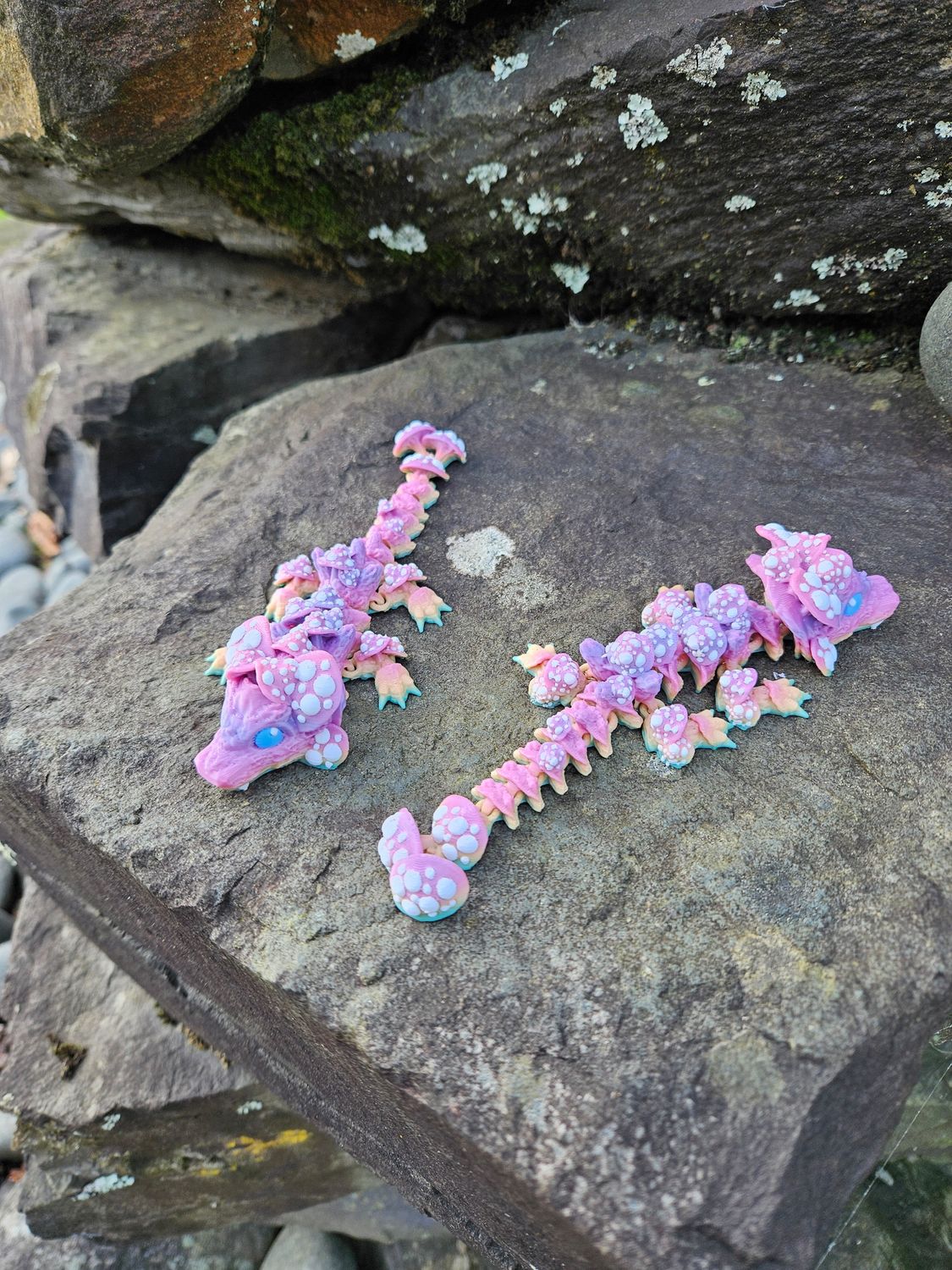 Baby Mushroom Dragon