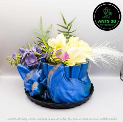 Plant Pots