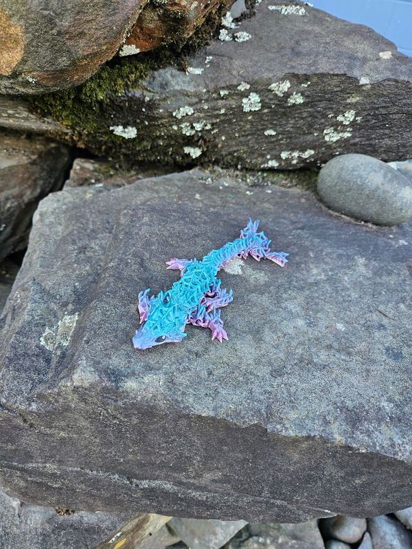 Baby Wicked Dragon