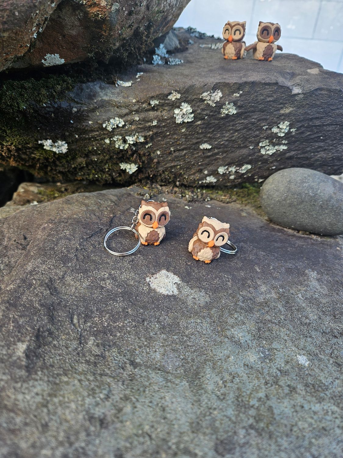 Little Ruru (owl) keyring