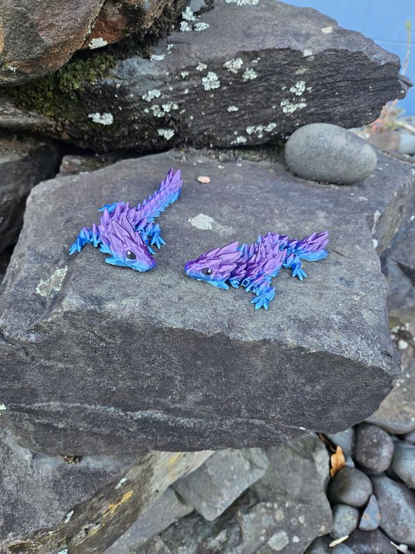 Baby Twins Dragons