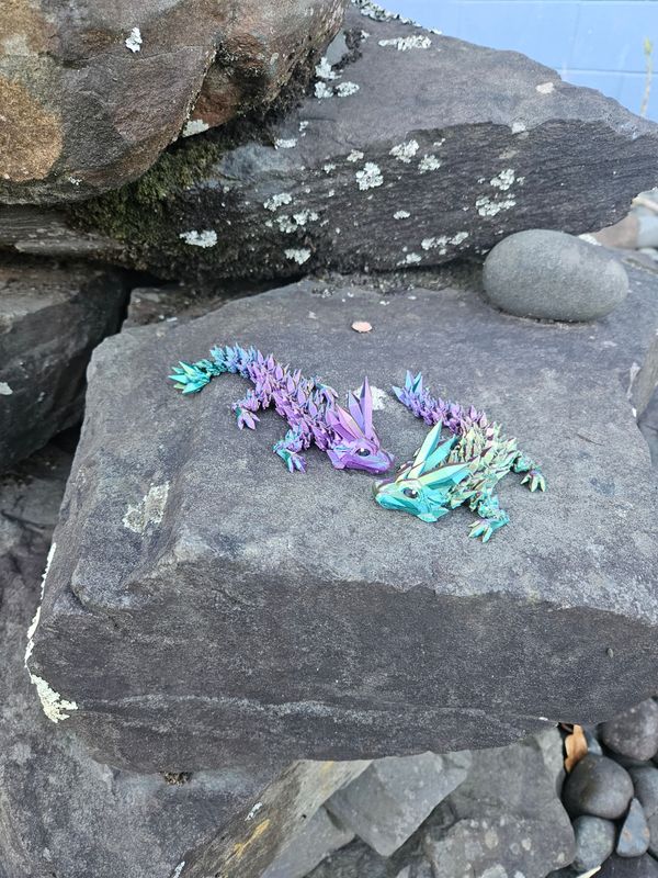 Baby Twins Dragons