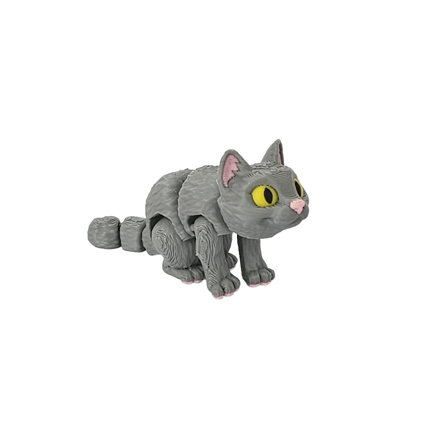 Grey Cat
