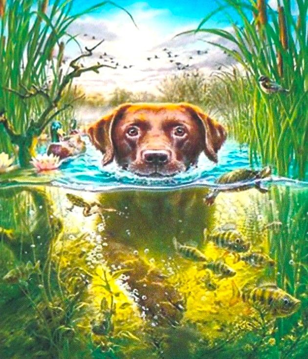 Peinture diamant 5D chien dans l'eau
