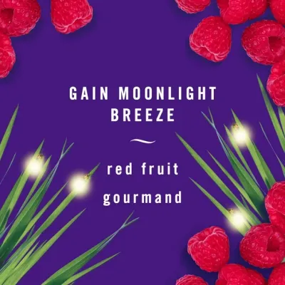 Febreze Moonlight Breeze