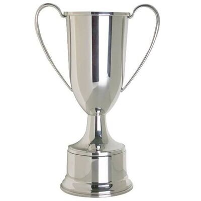 To Be Platinum Sponsor fill out then email MSOAoffice@gmail.com