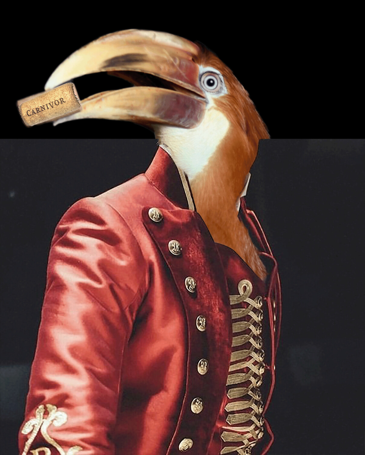 Teddy Carnivor