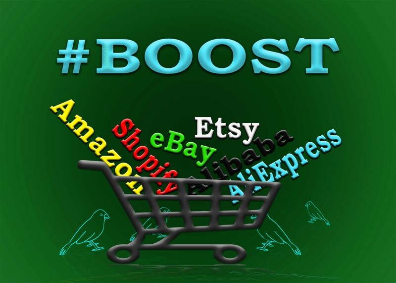30 days Promotion Campaign for any Marketplace integrated shop on main search engines
