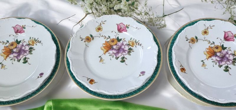 Seltmann Weiden Bavarian Set of 6 Floral Dinner Plates