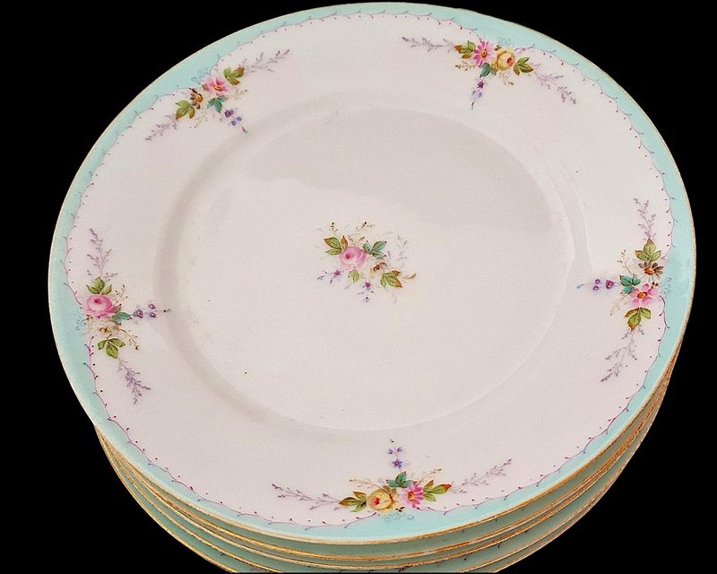 Antique Charles Field Haviland Limoges Dinner Set c.1876, Hand-Painted Floral