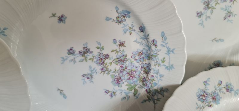 Bernardaud Limoges "Gabrielle" Set of 7 Dinner Plates
