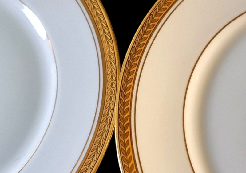 Limoges French Porcelain Dinnerware Set, Gold Palmette Rim, 24 Pieces