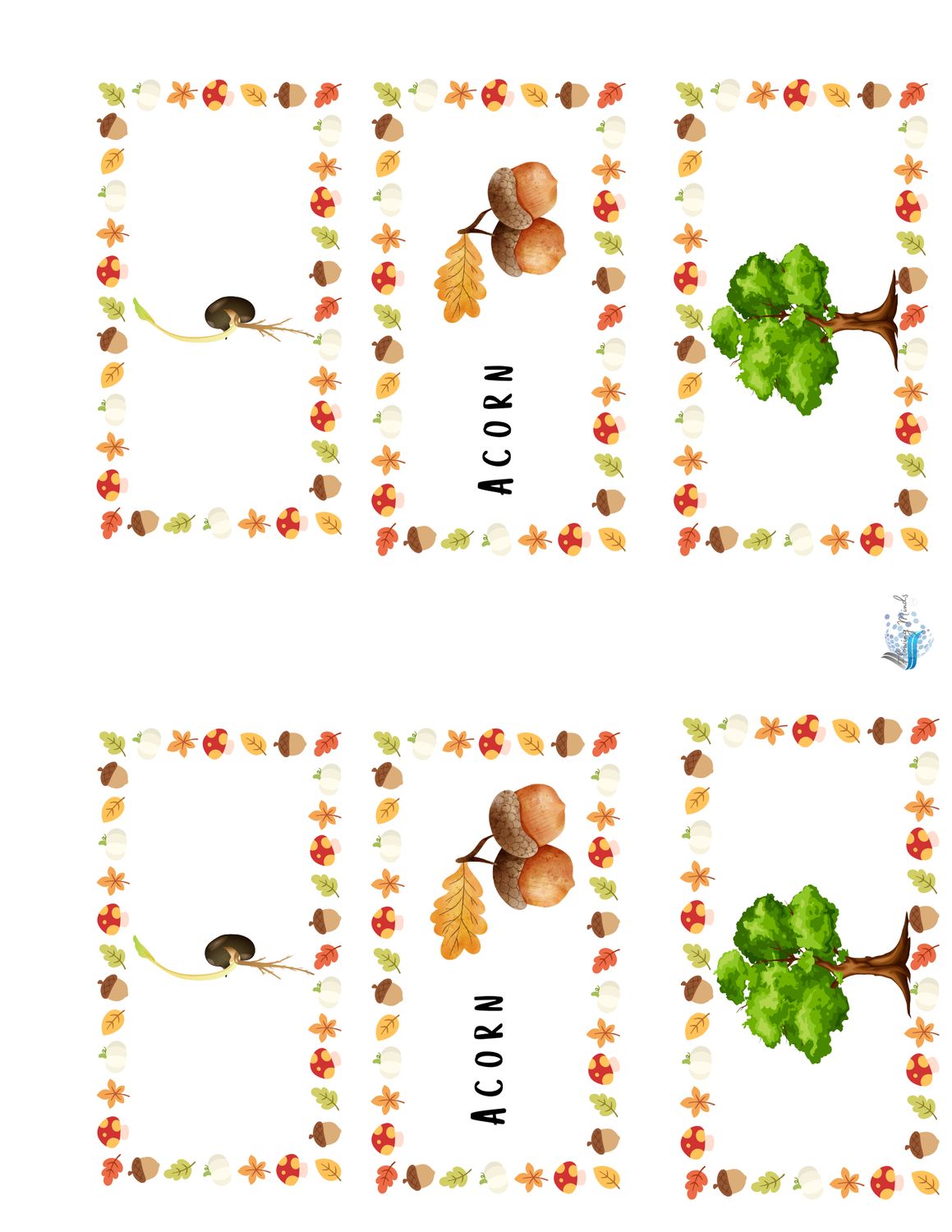 A is for acorn introduction to the letter A workbook 