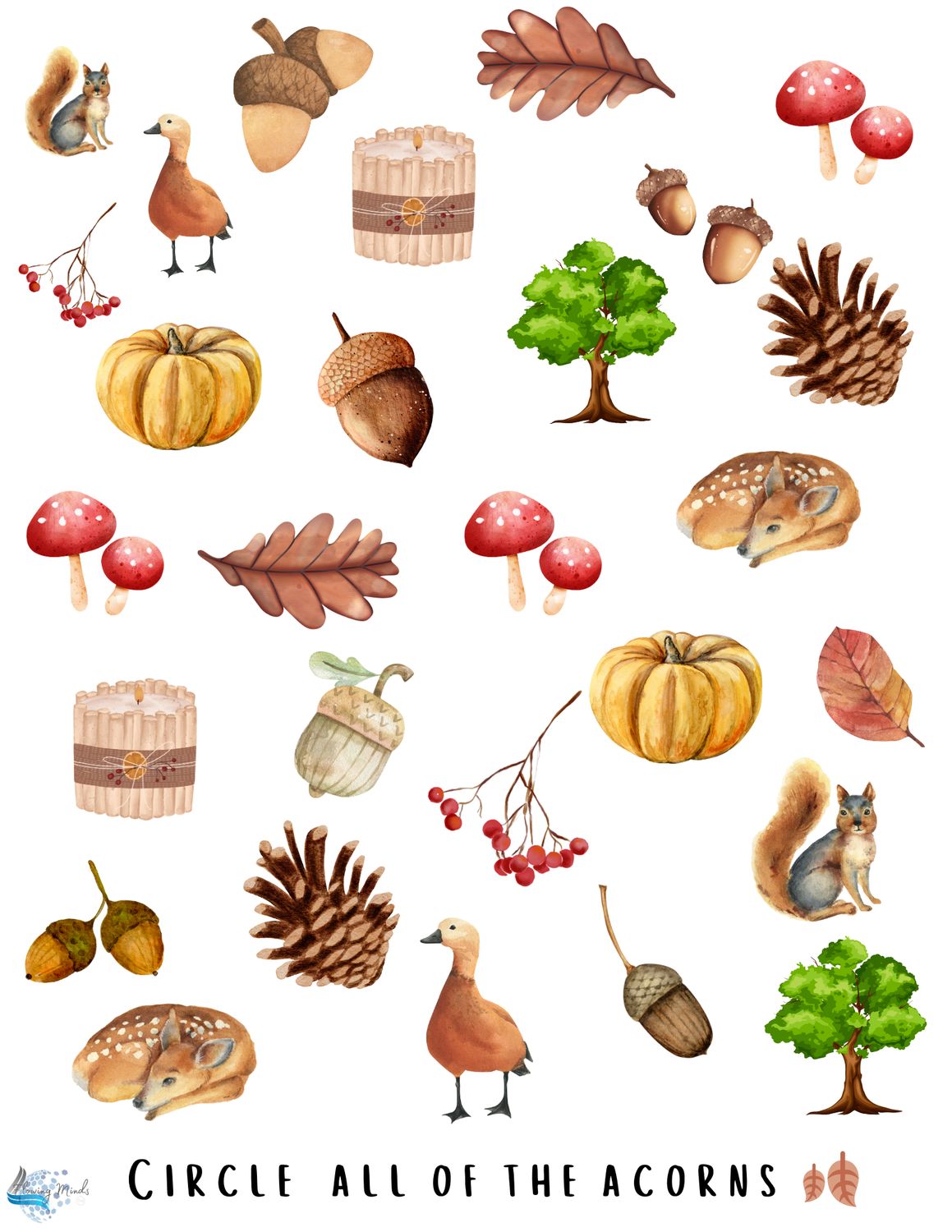 A is for acorn introduction to the letter A workbook 