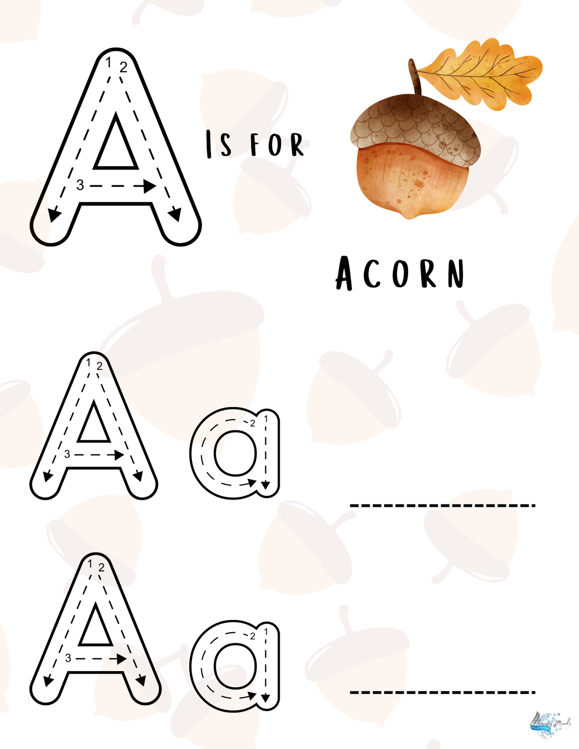 A is for acorn introduction to the letter A workbook 