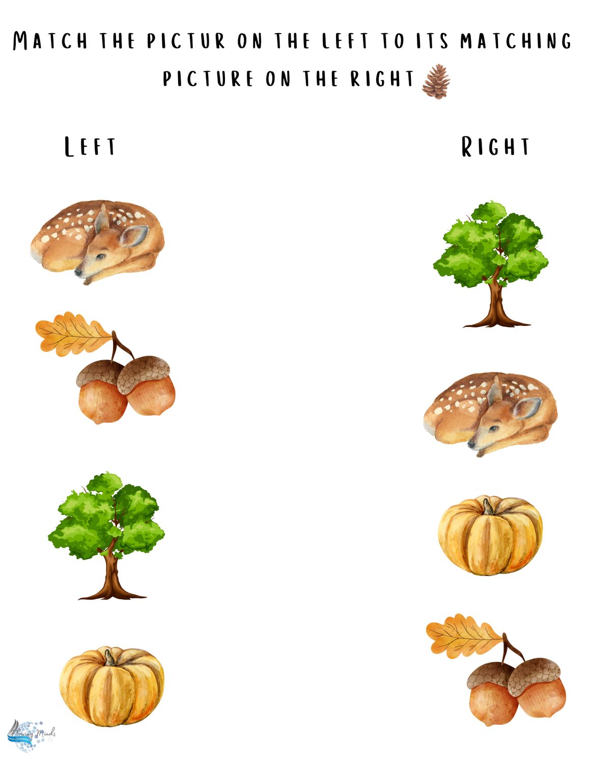 A is for acorn introduction to the letter A workbook 