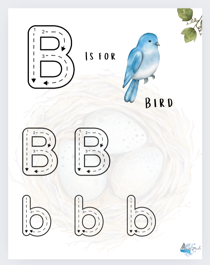 B is for bird introduction to the letter b workbook 