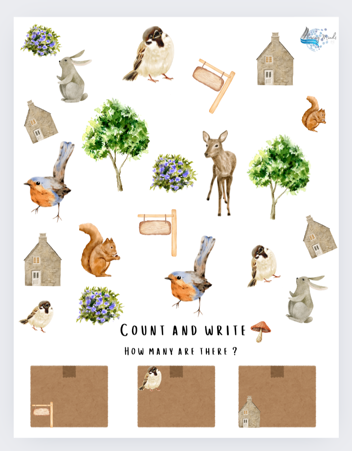 B is for bird introduction to the letter b workbook 