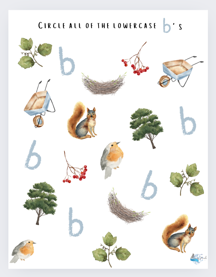 B is for bird introduction to the letter b workbook 