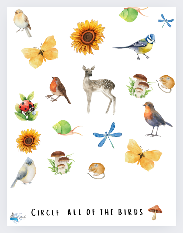 B is for bird introduction to the letter b workbook 