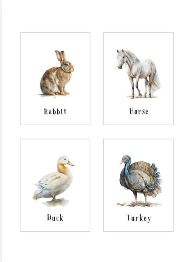 Wild animals flash cards or matching game set