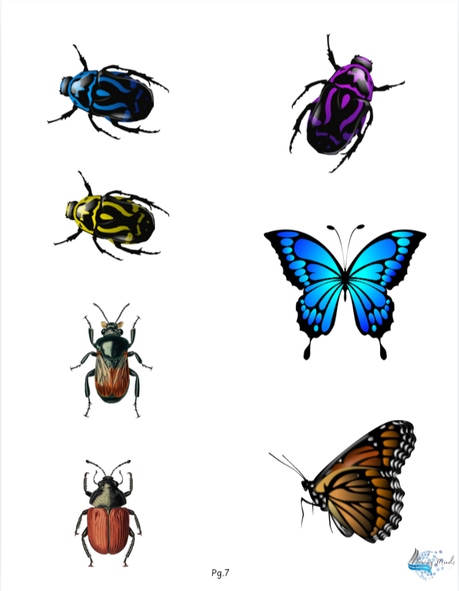 CVC short vowel resources and activity pack