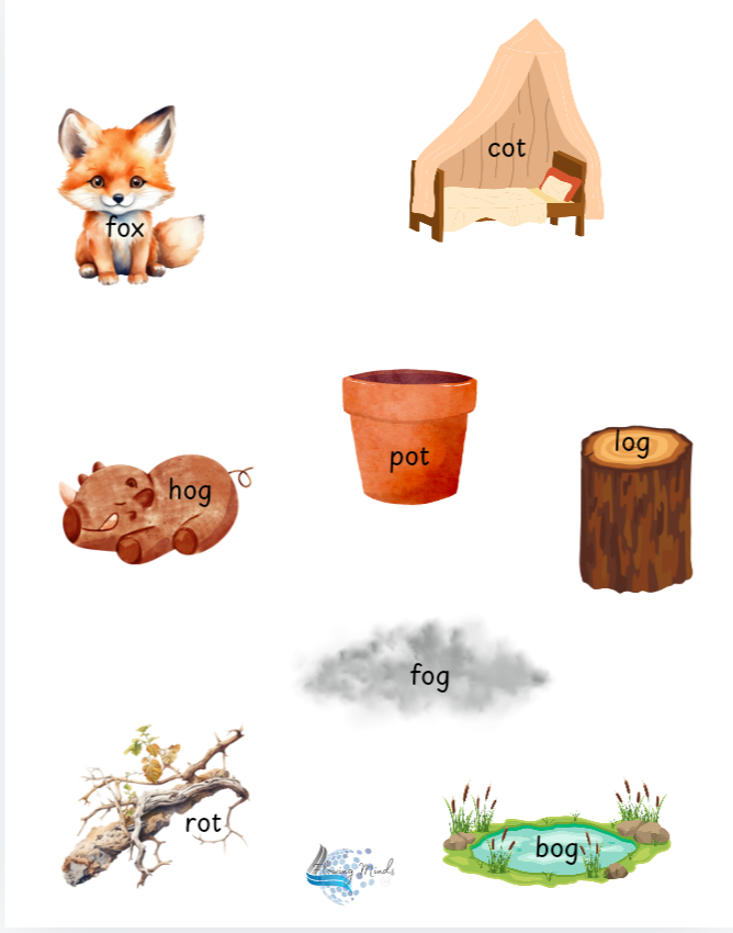 CVC short vowel resources and activity pack