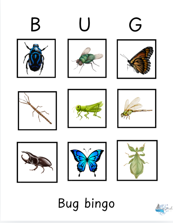 CVC short vowel resources and activity pack