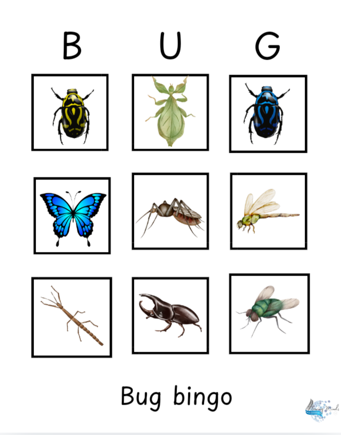 CVC short vowel resources and activity pack
