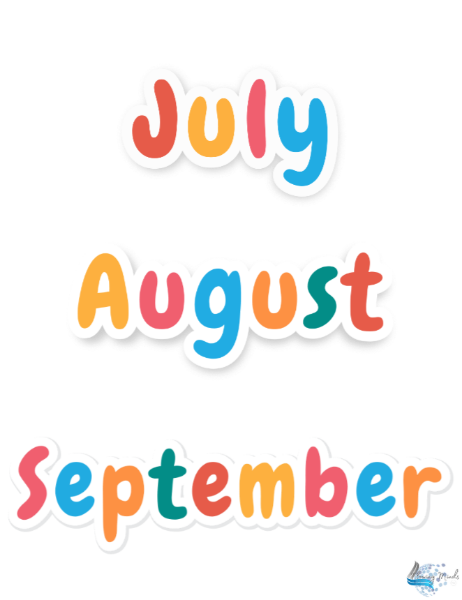 Months of the year packet