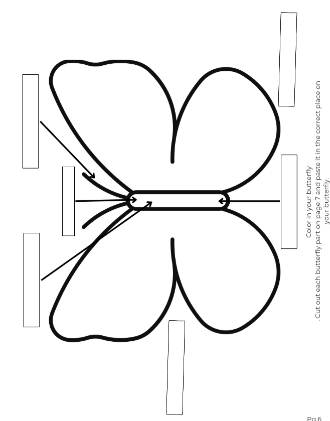 Monarch Butterfly anatomy diagram and worksheet
