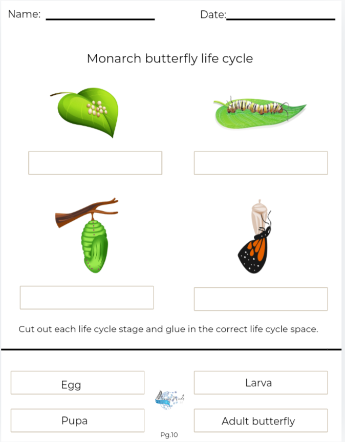 Butterflies of North America : The Monarch Butterfly  , symbiotic and mutualistic relationship&#39;s bundle