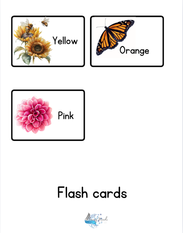 Colors of nature flash cards and matching game set