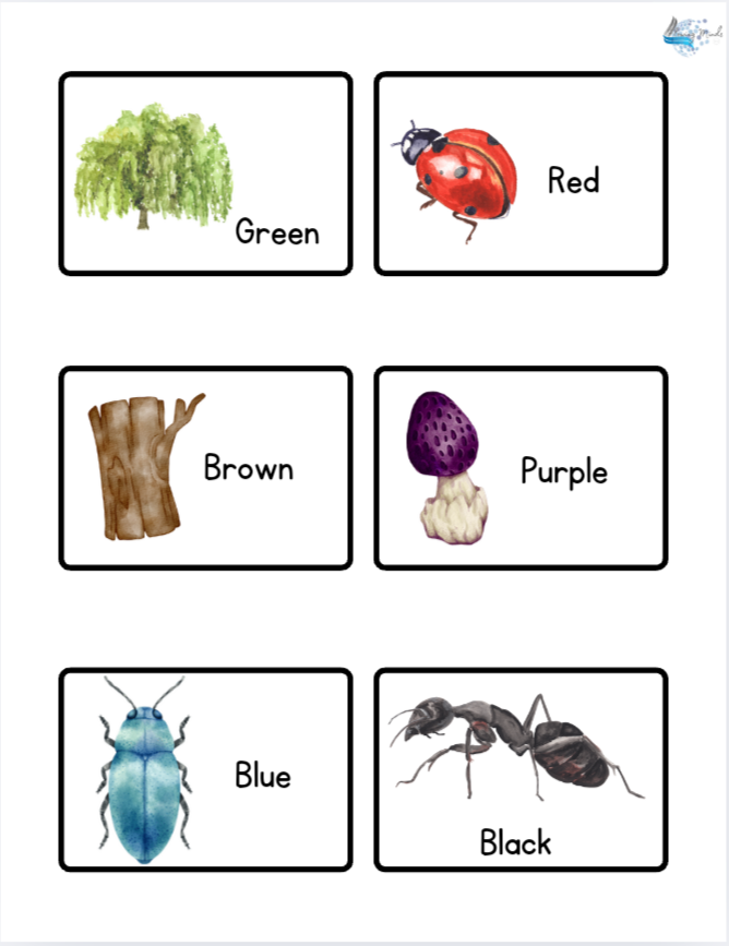 Colors of nature flash cards and matching game set
