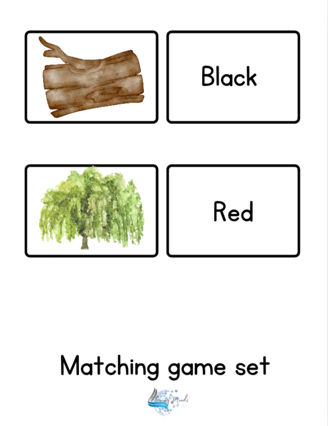 Colors of nature flash cards and matching game set