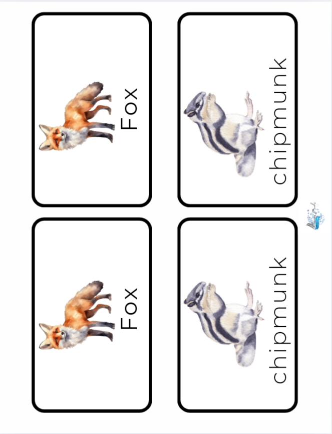Animal Adaptations Introduction lesson