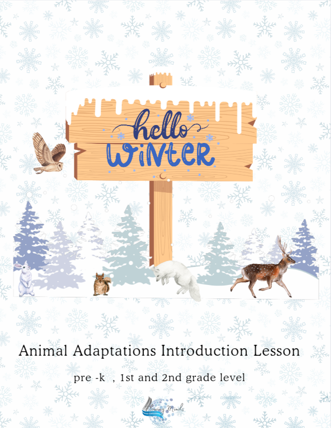Animal Adaptations Introduction lesson