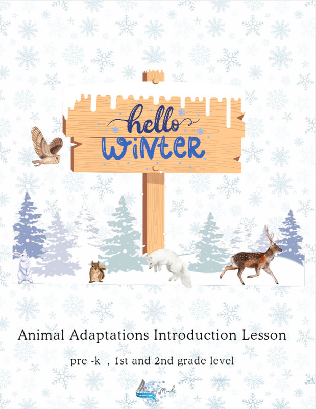 Animal Adaptations Introduction lesson