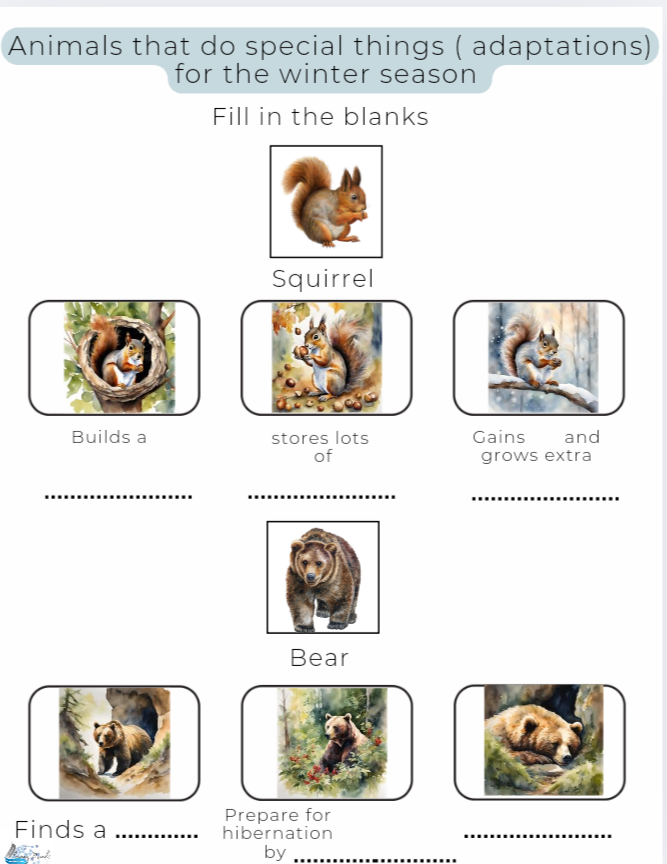 Animal Adaptations Introduction lesson