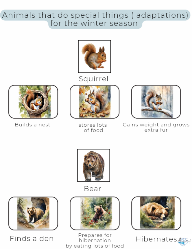 Animal Adaptations Introduction lesson