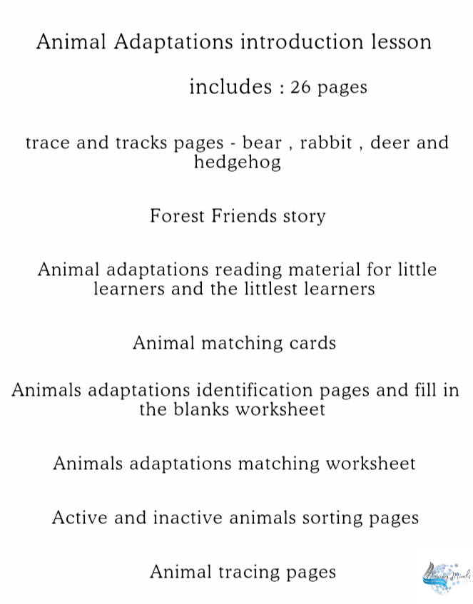 Animal Adaptations Introduction lesson